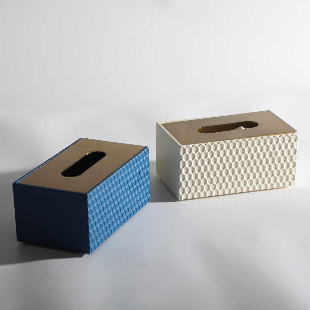 Resplendent Resin & Metal Tissue Holder