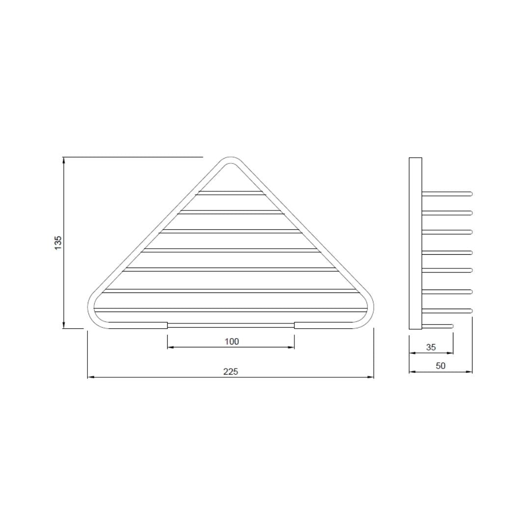 bacc_acn_chr_1175n