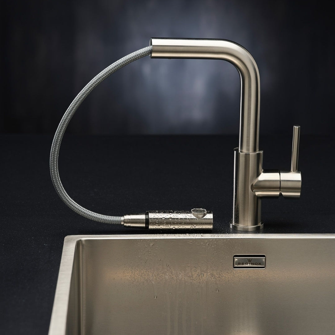 Reginox Table Mounted Regular Kitchen Sink Mixer PALM with Extractable Hand Shower Spout in Stainless Steel Finish