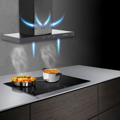 Faber 90 cm Wall Mounted Chimney HOOD CYGNUS IN 3D HC SC FL BK 90