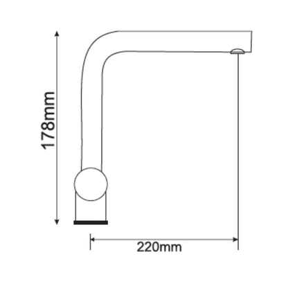 Carysil Table Mounted Pull-Out Kitchen Sink Mixer INOX 101 (ASL 2202) with Extractable Hand Shower Spout in Satin Finish