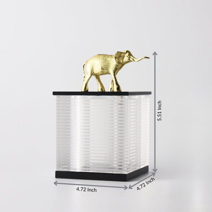 Elephant Majesty Storage Box