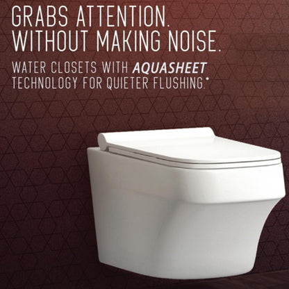 Hindware Wall Mounted White Closet WC Amazon Aquasheet 92538 WHITE with P-Trap