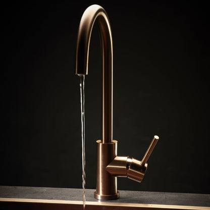 Reginox Table Mounted Regular Kitchen Sink Mixer PVD CANO with Extractable Hand Shower Spout in Copper Finish