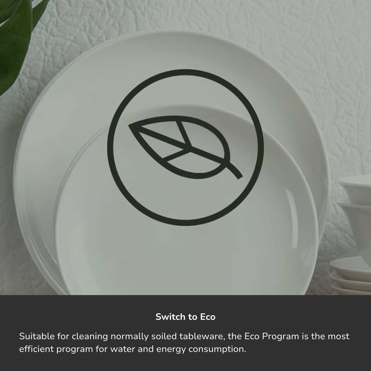 dish_ele_esm48310sx