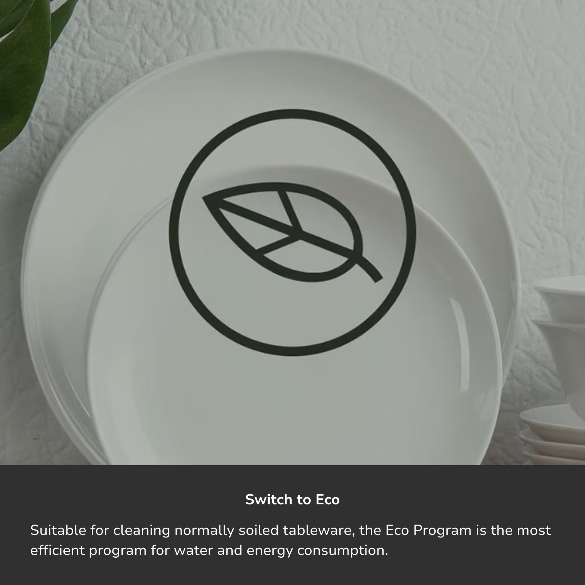 dish_ele_esm48310sx