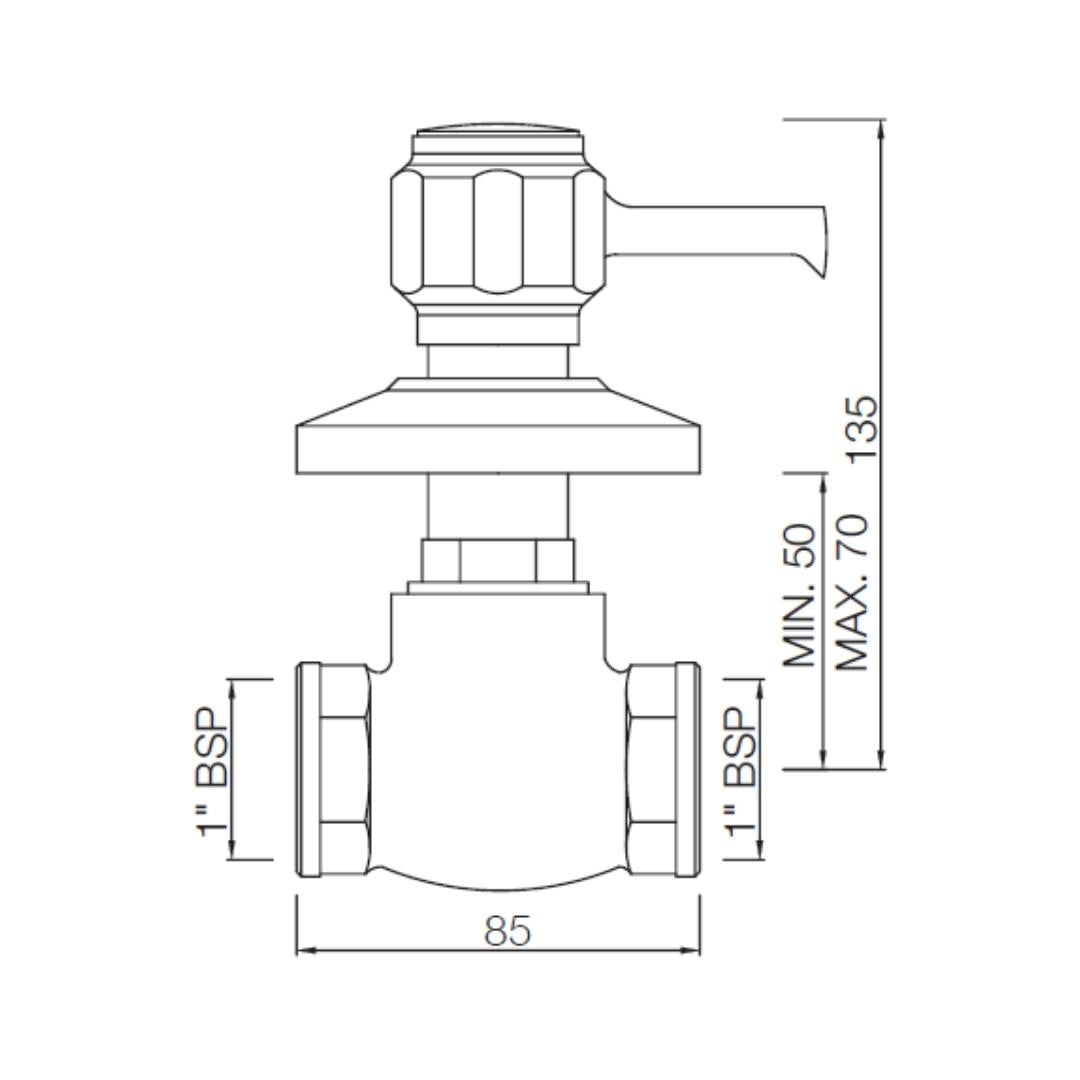 Essco WC Area Flush Tap Delux DLX-CHR-551 - Chrome
