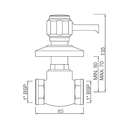 Essco WC Area Flush Tap Delux DLX-CHR-551 - Chrome
