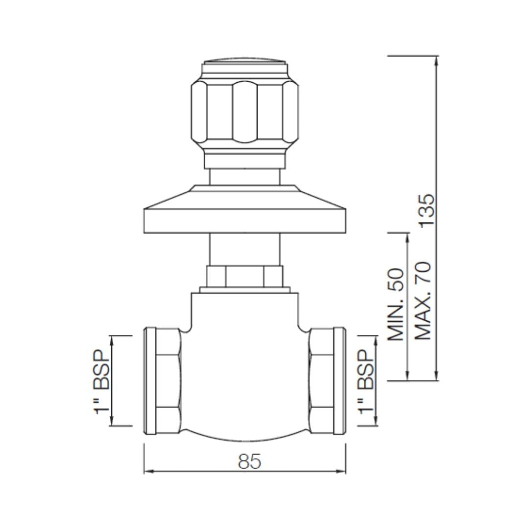 Essco WC Area Flush Tap Delux DLX-CHR-553 - Chrome