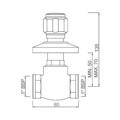 Essco WC Area Flush Tap Delux DLX-CHR-553 - Chrome