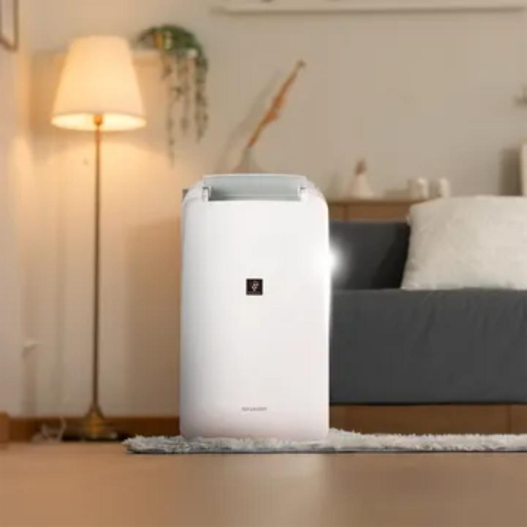 Sharp Air Purifier with Dehumidifier DW-P10M-W