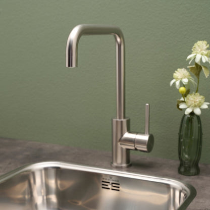 Reginox Table Mounted Regular Kitchen Sink Mixer LOGAN with Extractable Hand Shower Spout in Stainless Steel Finish