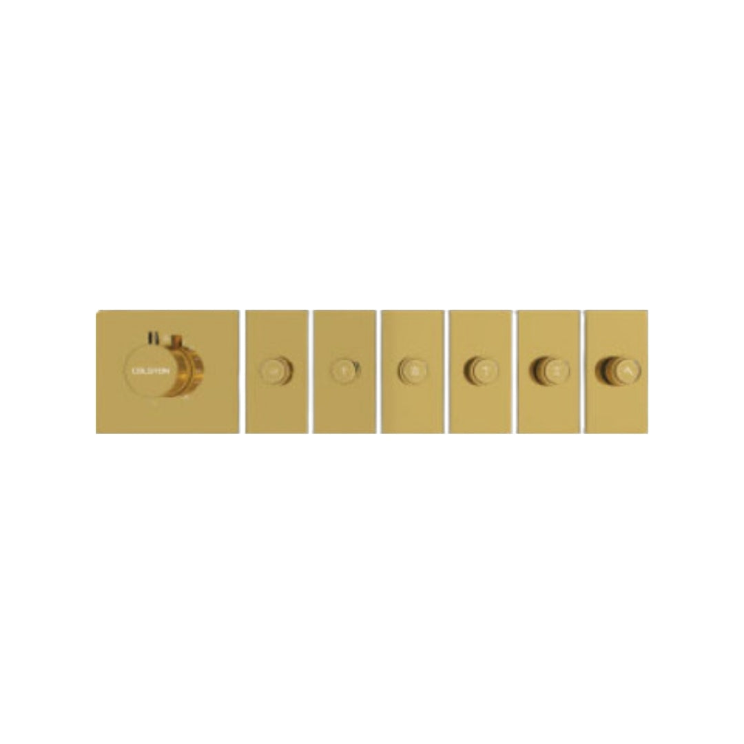 md_col_maxx_6_gold