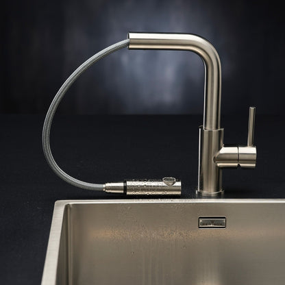 Reginox Table Mounted Regular Kitchen Sink Mixer PALM with Extractable Hand Shower Spout in Stainless Steel Finish