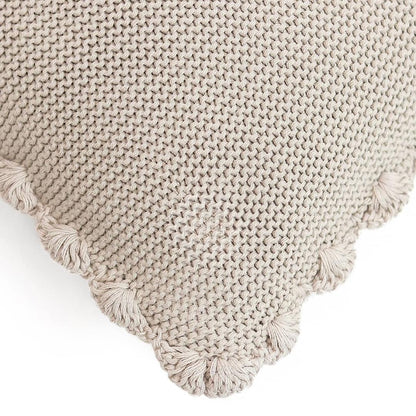 Transfer Knit with Hand Crochet Border Pale Whisper Cotton Knitted Decorative Cushion Cover (16 in x 16 in)