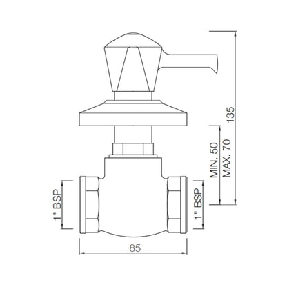 Essco WC Area Flush Tap Tropical TRF-CHR-551 - Chrome