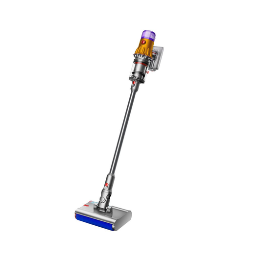 vc_dys_dyson_v12s_detect