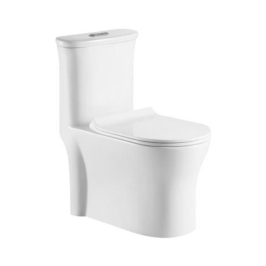 Hindware Floor Mounted White 1 Piece WC Agnese AGNESE 92563 with S-Trap