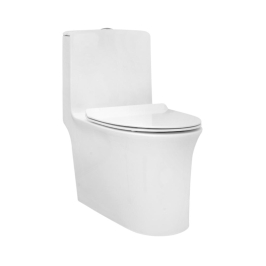 Parryware Floor Mounted White 1 Piece WC Aquiline AQUILINE C8901 with S-Trap