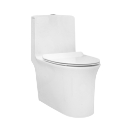 Parryware Floor Mounted White 1 Piece WC Aquiline AQUILINE C8902 with S-Trap