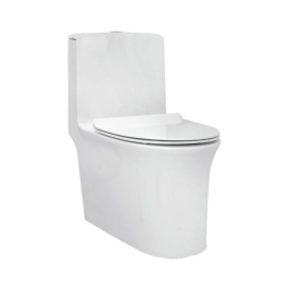 Parryware Floor Mounted White 1 Piece WC Aquiline AQUILINE C8919 with P-Trap