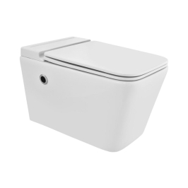 Jaquar Wall Mounted White Closet WC Aria ARS-WHT-39961BIUFSMTL with P-Trap