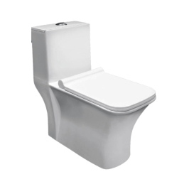Parryware Floor Mounted White 1 Piece WC Aster ASTER C8966 with S-Trap