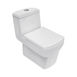 Parryware Floor Mounted White 1 Piece WC Camel CAMEL C8856 with S-Trap
