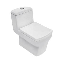 Parryware Floor Mounted White 1 Piece WC Camel CAMEL C8857 with P-Trap