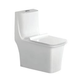 Parryware Floor Mounted White 1 Piece WC Canvas CANVAS C897K with S-Trap