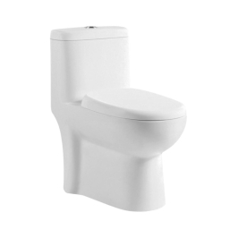 Parryware Floor Mounted White 1 Piece WC Duke DUKE C8916 with S-Trap