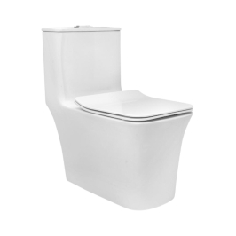 Parryware Floor Mounted White 1 Piece WC Inslim INSLIM C8905 with S-Trap