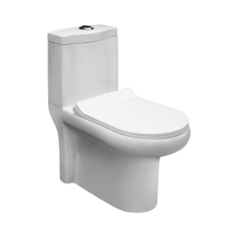 Parryware Floor Mounted White 1 Piece WC Ovalo OVALO C8967 with S-Trap