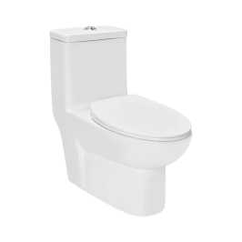 Jaquar Floor Mounted White 1 Piece WC Solo SLS-WHT-6851S300UF with S-Trap