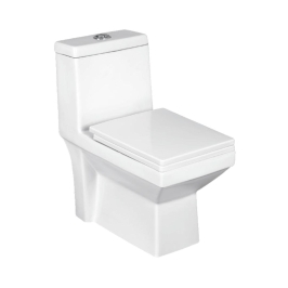 Parryware Floor Mounted White 1 Piece WC Sutra SUTRA C8965 with S-Trap